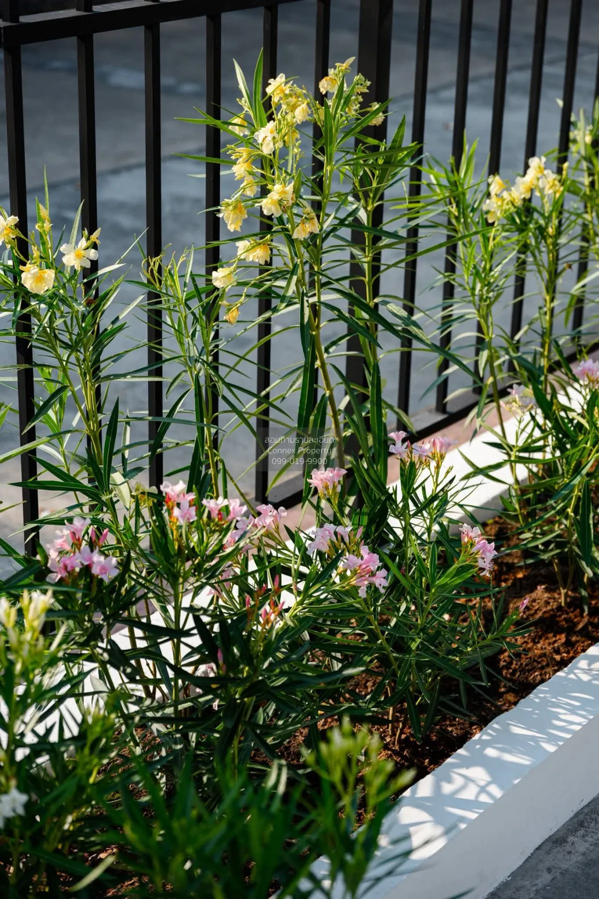 For Sale House , The Plant Rachapruk , newly renovated , Bang Kra 4