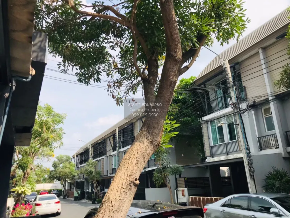 For Rent Townhouse/Townhome  , Areeya Daily Kaset-Nawamin , Chora