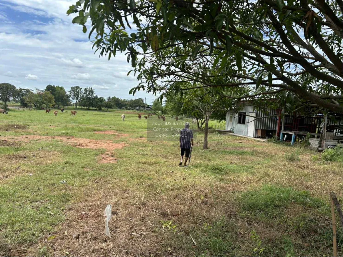 ขายที่ดินเปล่า ราชบุรี อำเภอปากท่อ ดอนทราย ปากท่อ ราชบุรี CX-1501 1