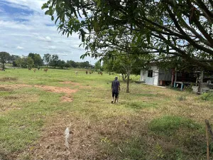 ขายที่ดินเปล่า ราชบุรี อำเภอปากท่อ ดอนทราย ปากท่อ ราชบุรี CX-150145