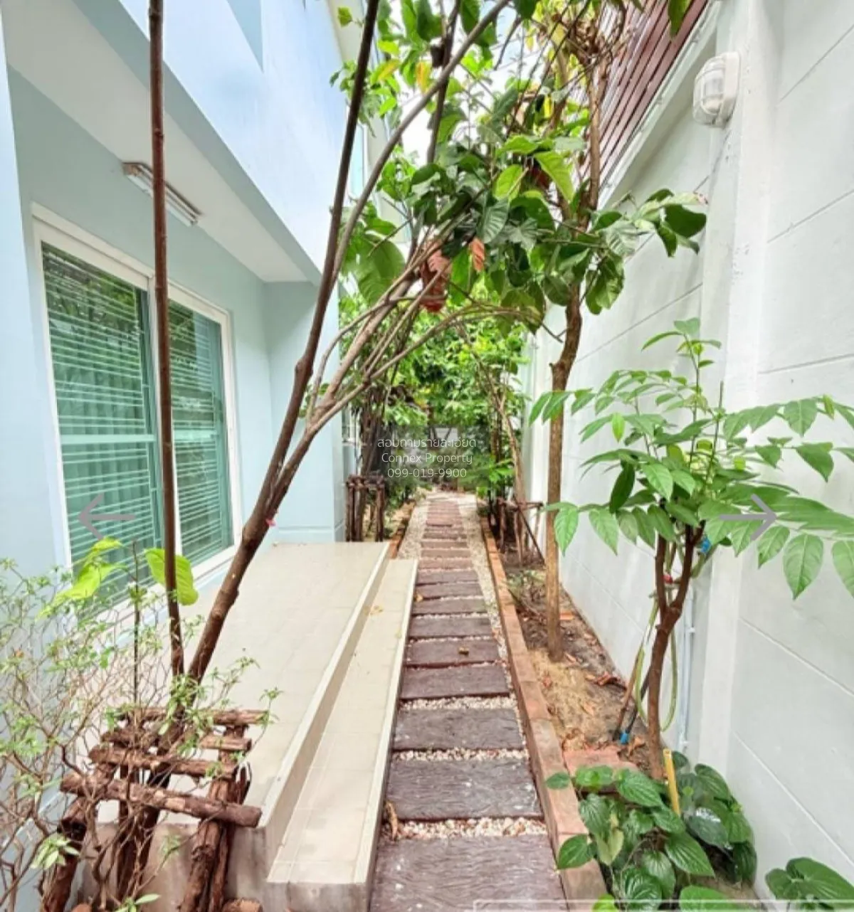 ขายบ้าน  เสนา วิลล์ รามอินทรา ท่าแร้ง เขต บางเขน กรุงเทพ CX-15067