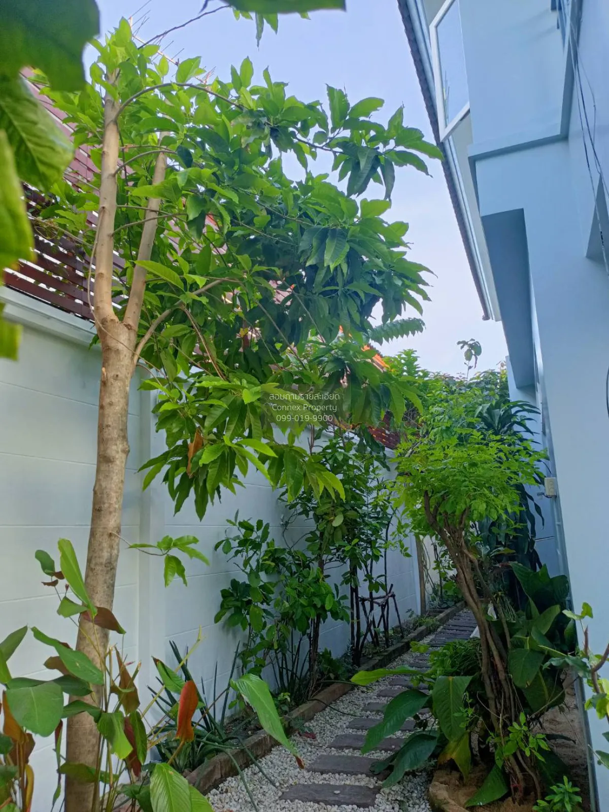 ขายบ้าน  เสนา วิลล์ รามอินทรา ท่าแร้ง เขต บางเขน กรุงเทพ CX-15067