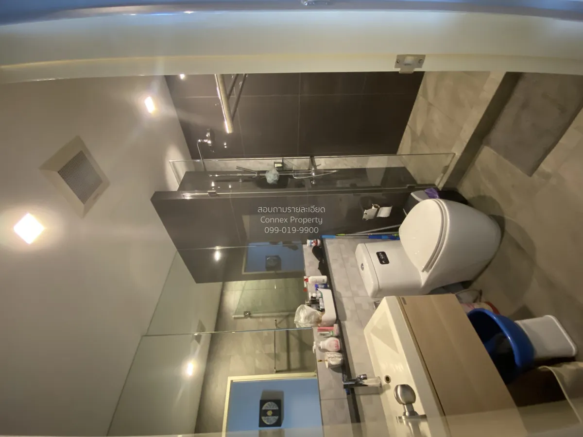 เช่าคอนโด  ทรี คอนโด สุขุมวิท 50 BTS-อ่อนนุช พระโขนง เขต คลองเตย 