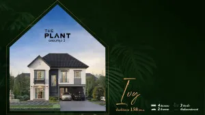 ขายบ้าน  เดอะ แพลนท์ ฉลองกรุง 2 ลำผักชี เขต หนองจอก กรุงเทพ CX-150992