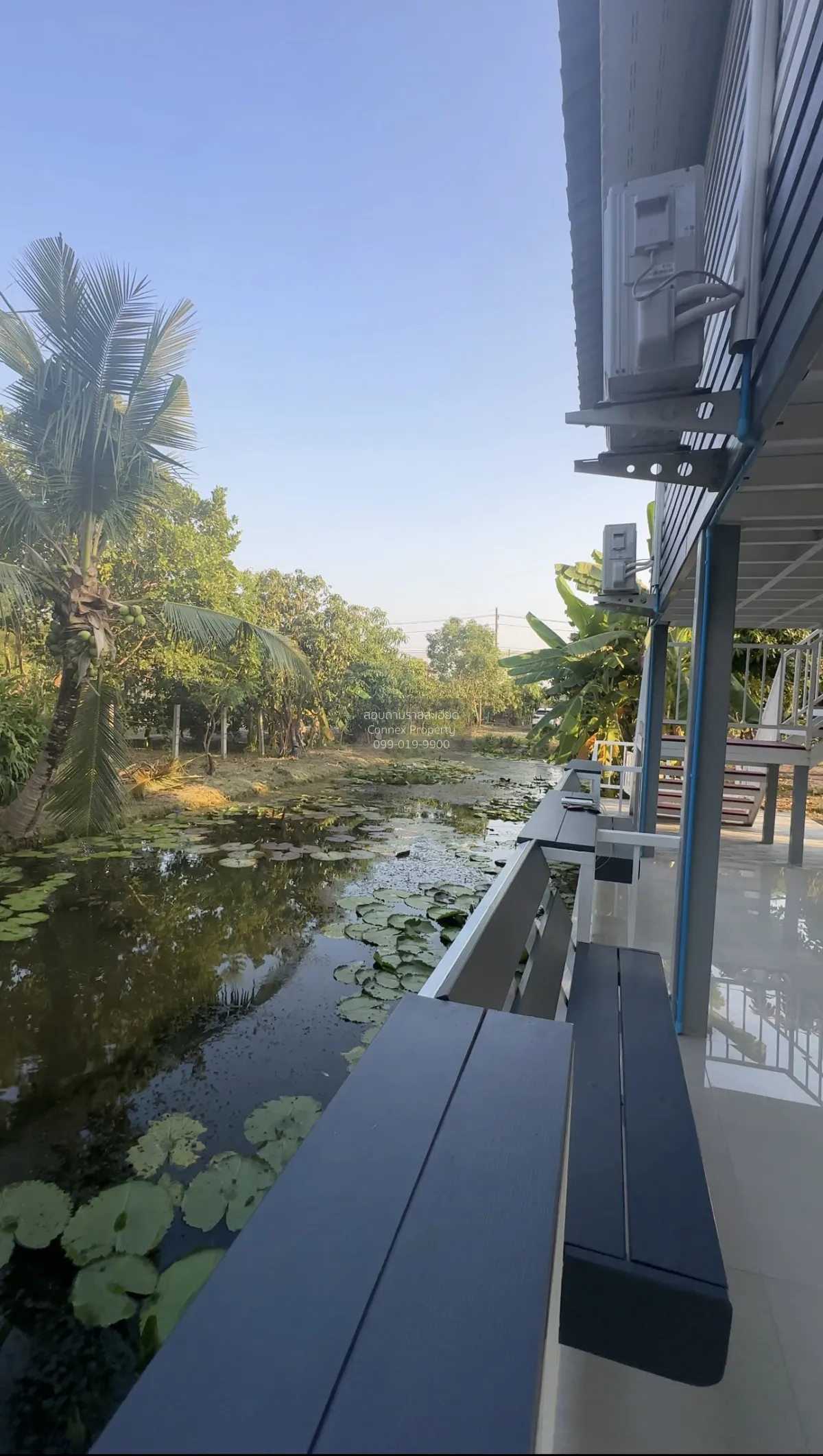 ขายบ้านสวน คลอง 14 หนองเสือ หนองสามวัง หนองเสือ ปทุมธานี CX-15106 3