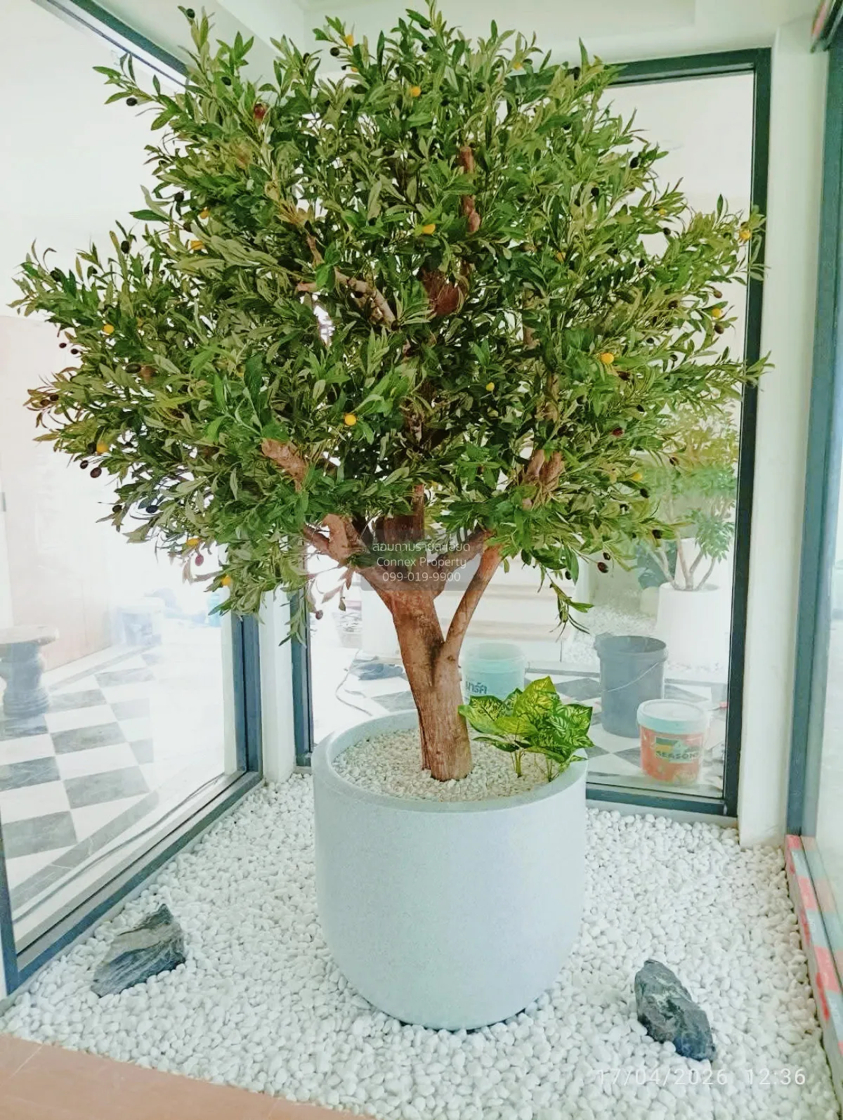 ขายบ้านเดี่ยวหลังมุม ซอยนวมินทร์ 127  ห้องมุม รีโนเวทใหม่ นวลจันท 4