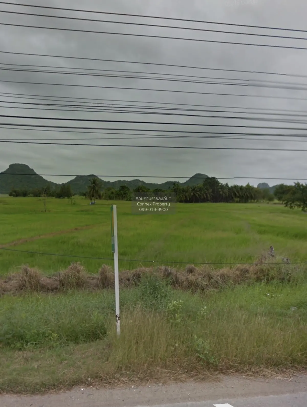 ขายที่ดินชะอำ ขาลงใต้ ตรงข้ามพันธ์สุข เขาใหญ่ ชะอำ เพชรบุรี CX-15 2