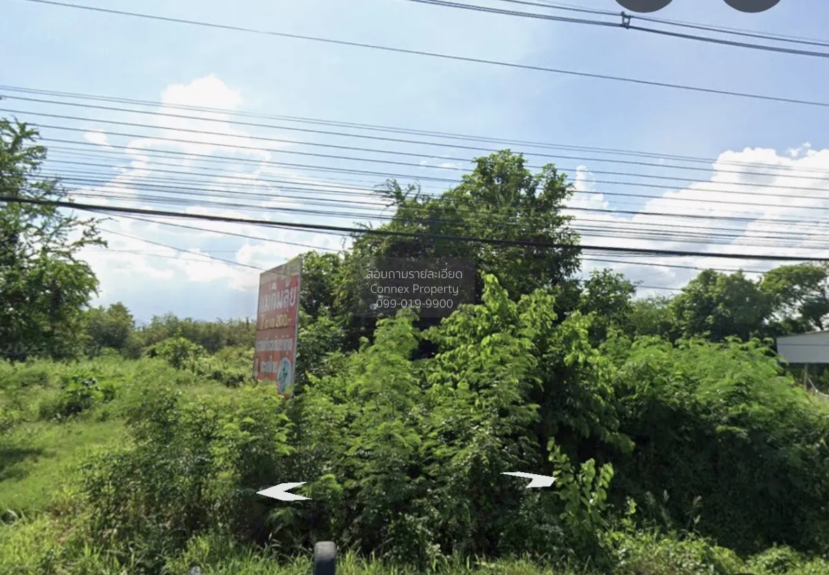 ขายที่ดินชะอำ ฝั่งขาขึ้น ใกล้ปั้มลุงเท่ง เขาใหญ่ ชะอำ เพชรบุรี CX 3