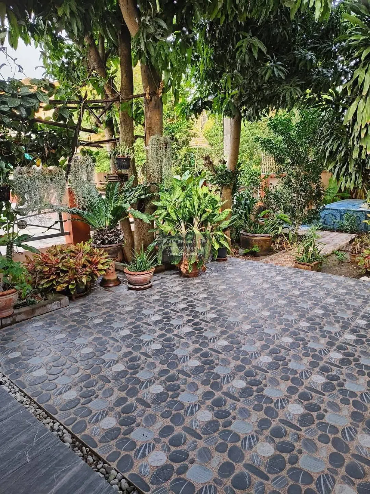 ขายทาวน์เฮ้าส์/ทาวน์โฮม  กัลปพฤกษ์ การ์เด้น บางนา บางบ่อ บางบ่อ ส 2