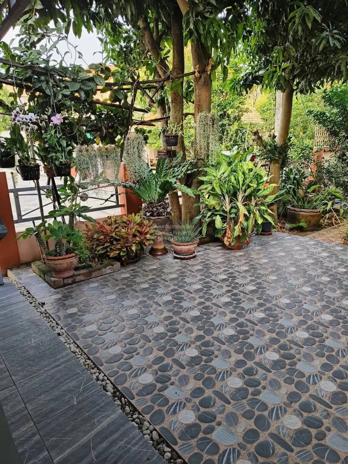 ขายทาวน์เฮ้าส์/ทาวน์โฮม  กัลปพฤกษ์ การ์เด้น บางนา บางบ่อ บางบ่อ ส