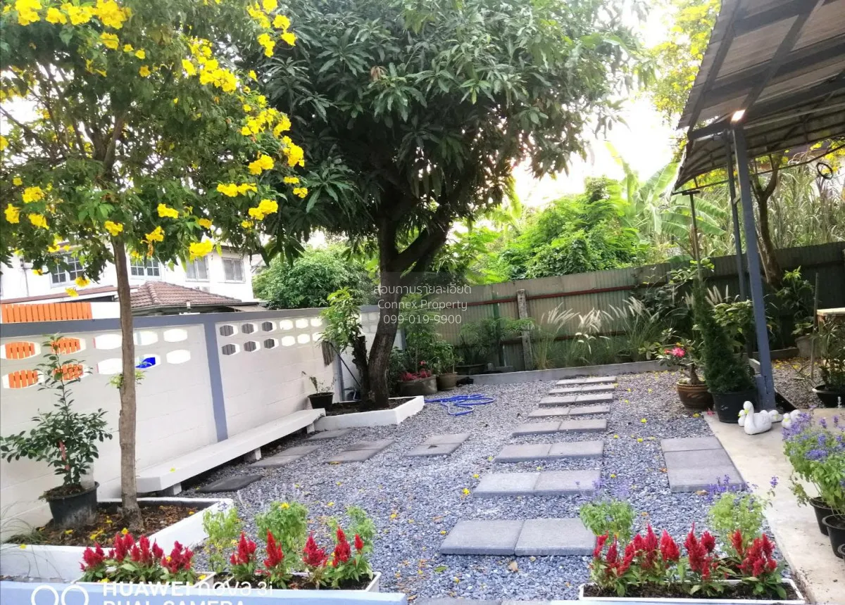 เช่าบ้านเดี่ยวแจ้งวัฒนะ คลองเกลือ ปากเกร็ด นนทบุรี CX-151427