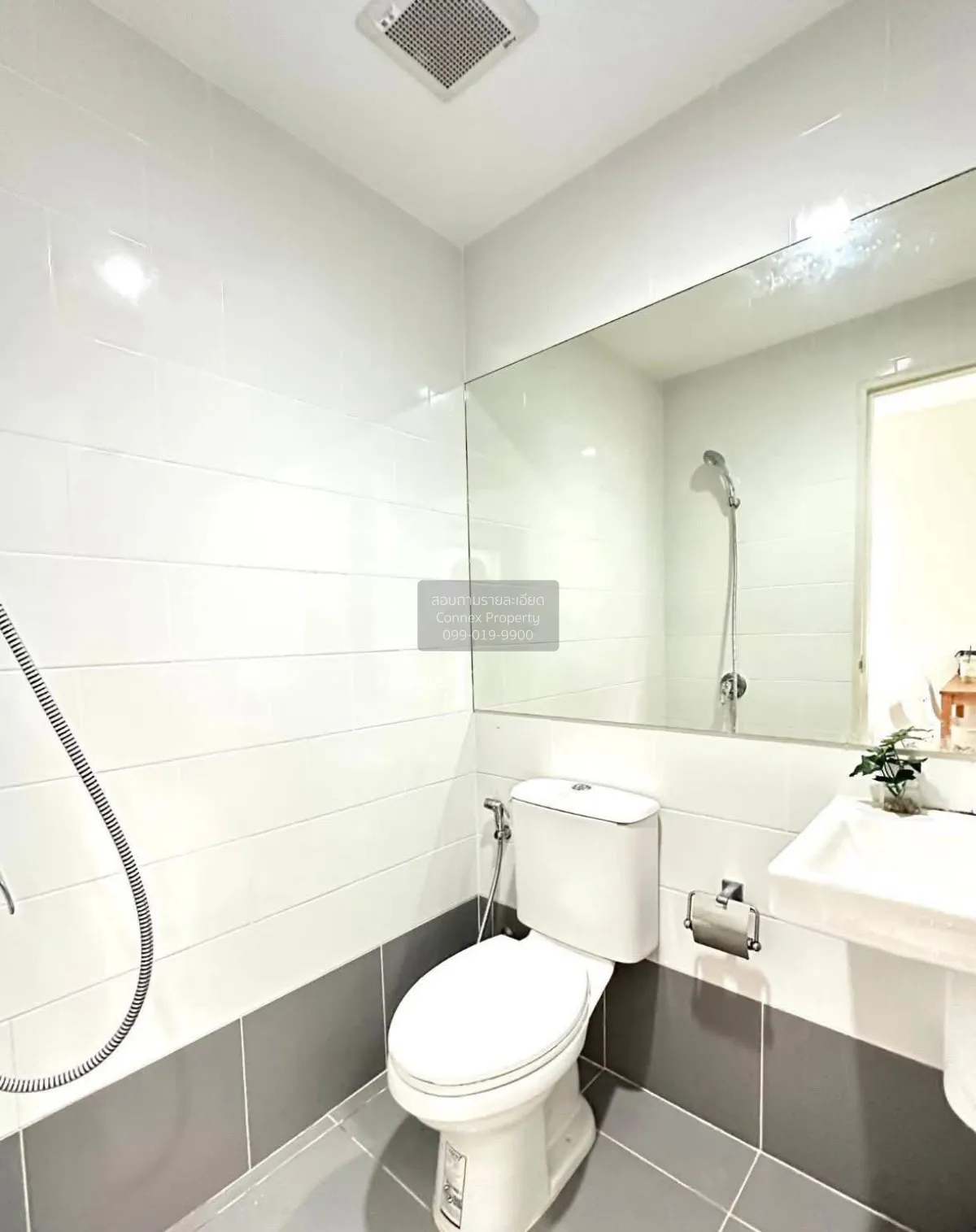 เช่าทาวน์เฮ้าส์/ทาวน์โฮม  เวิร์ฟ สายไหม - พหลโยธิน ออเงิน เขต สาย