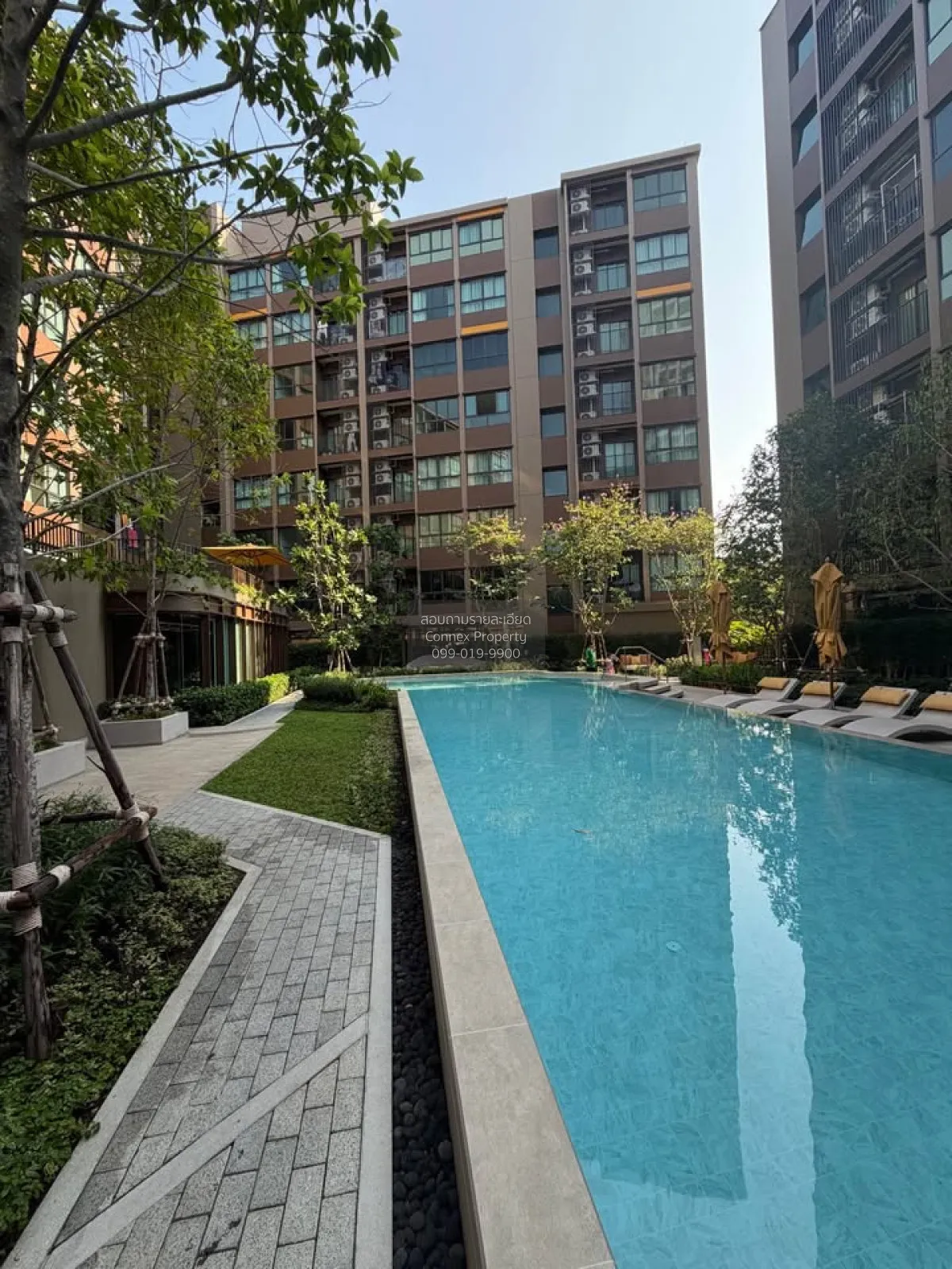 เช่าคอนโด  ดีคอนโด คาล์ม รามคำแหง 40 หัวหมาก เขต บางกะปิ กรุงเทพ 