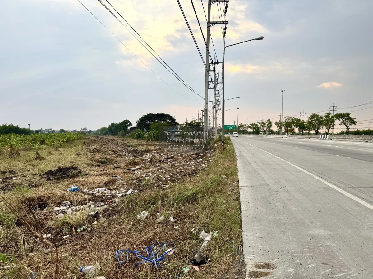 ขายที่ดินติดถนน M9 คูบางหลวง ลาดหลุมแก้ว ปทุมธานี CX-151623 2