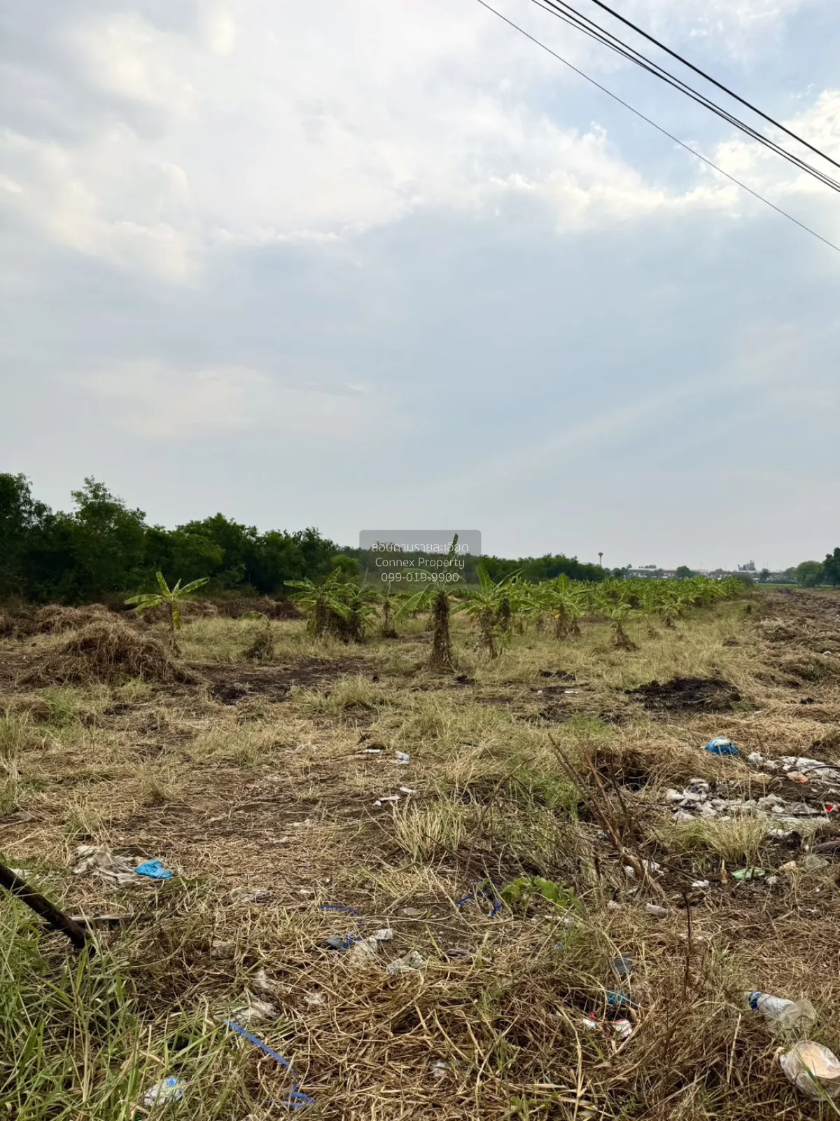 ขายที่ดินติดถนน M9 คูบางหลวง ลาดหลุมแก้ว ปทุมธานี CX-151623 3