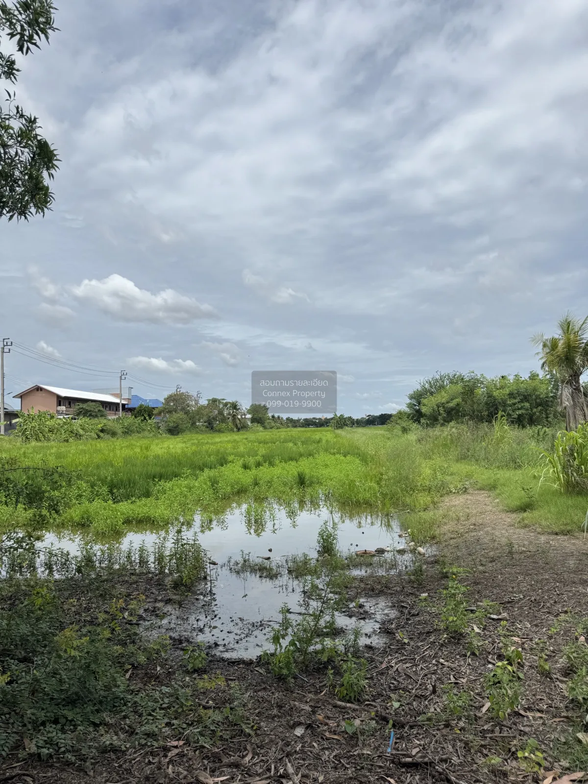 ขายถนนบางบัวทอง-สุพรรณบุรี ราษฎร์นิยม ไทรน้อย นนทบุรี CX-151626 1