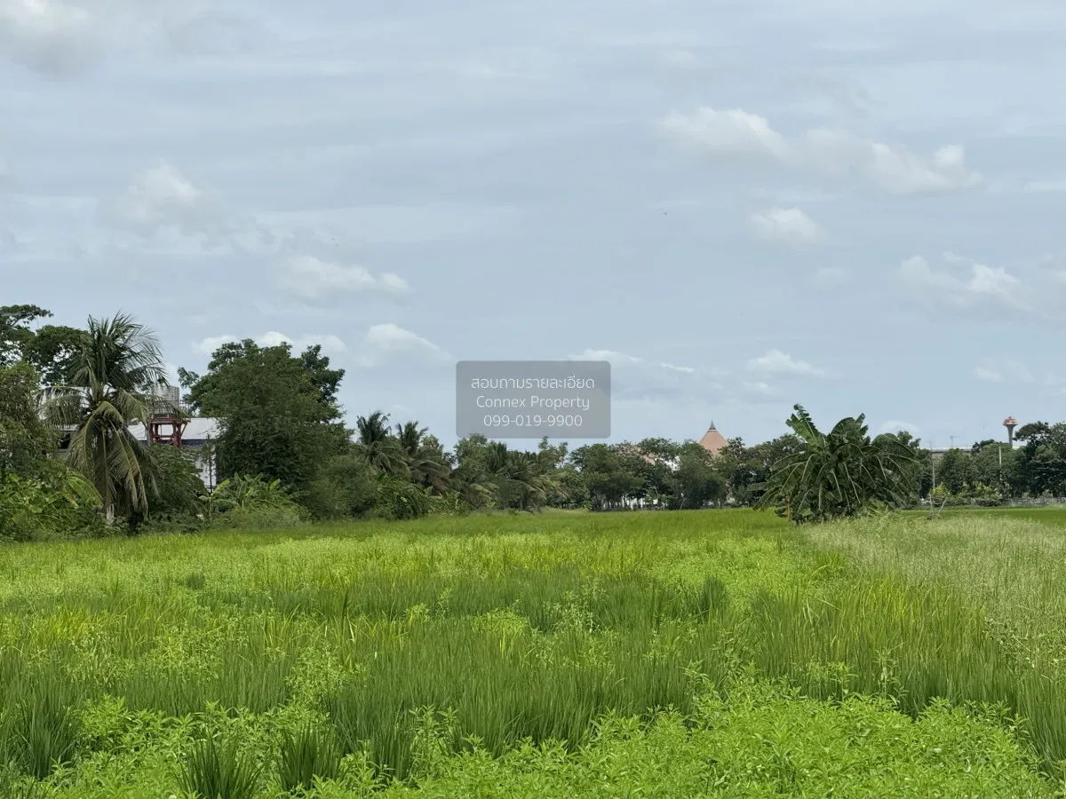 ขายถนนบางบัวทอง-สุพรรณบุรี ราษฎร์นิยม ไทรน้อย นนทบุรี CX-151626 2