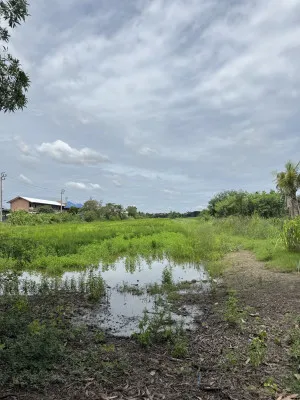 For Sale Bangbuathong-Suphanburi Road , Rat Niyom , Sai Noi , Nonthaburi , CX-151626