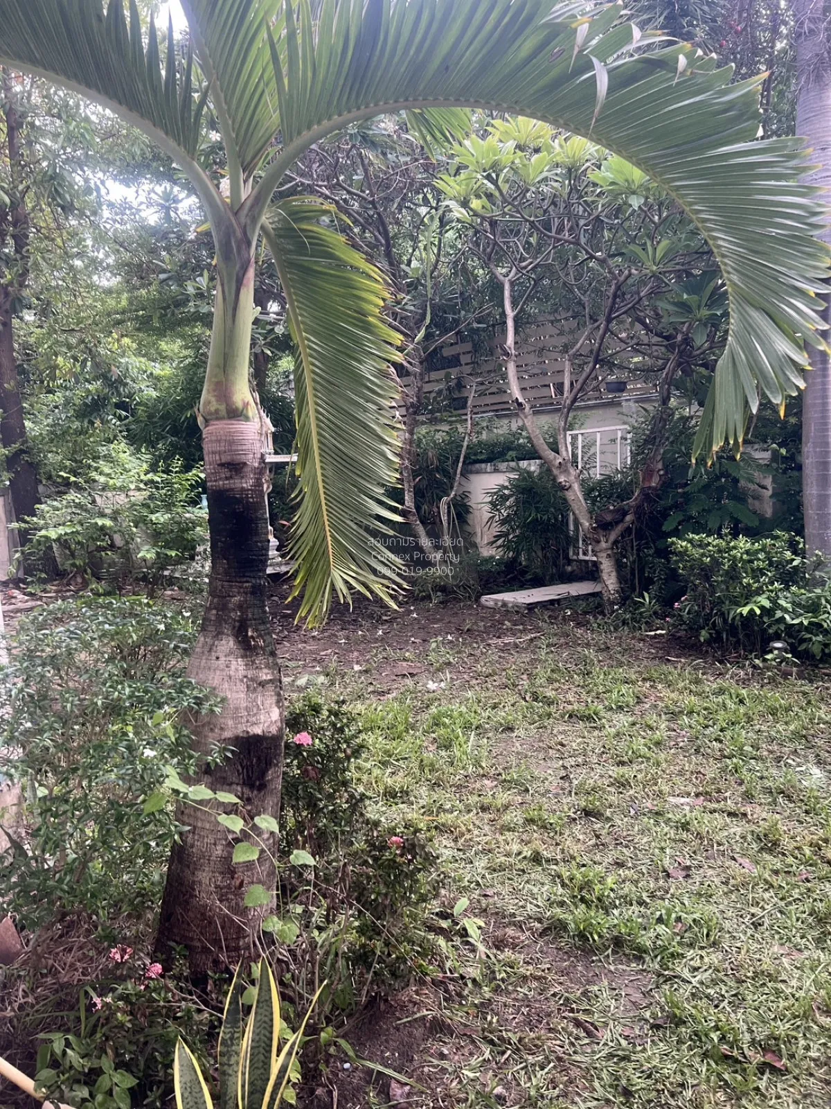 ขายบ้าน  เพอร์เฟค พาร์ค สุวรรณภูมิ เฟส 2 มีนบุรี เขต มีนบุรี กรุง