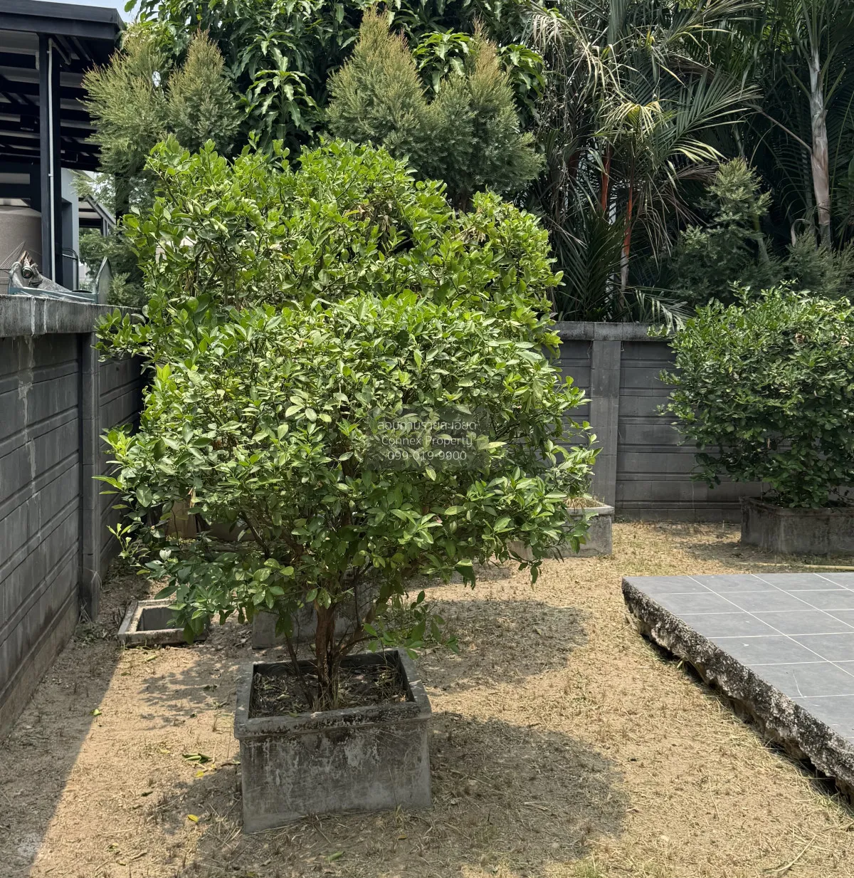 ขายบ้าน  เพอร์เฟค พาร์ค สุวรรณภูมิ เฟส 5 มีนบุรี เขต มีนบุรี กรุง