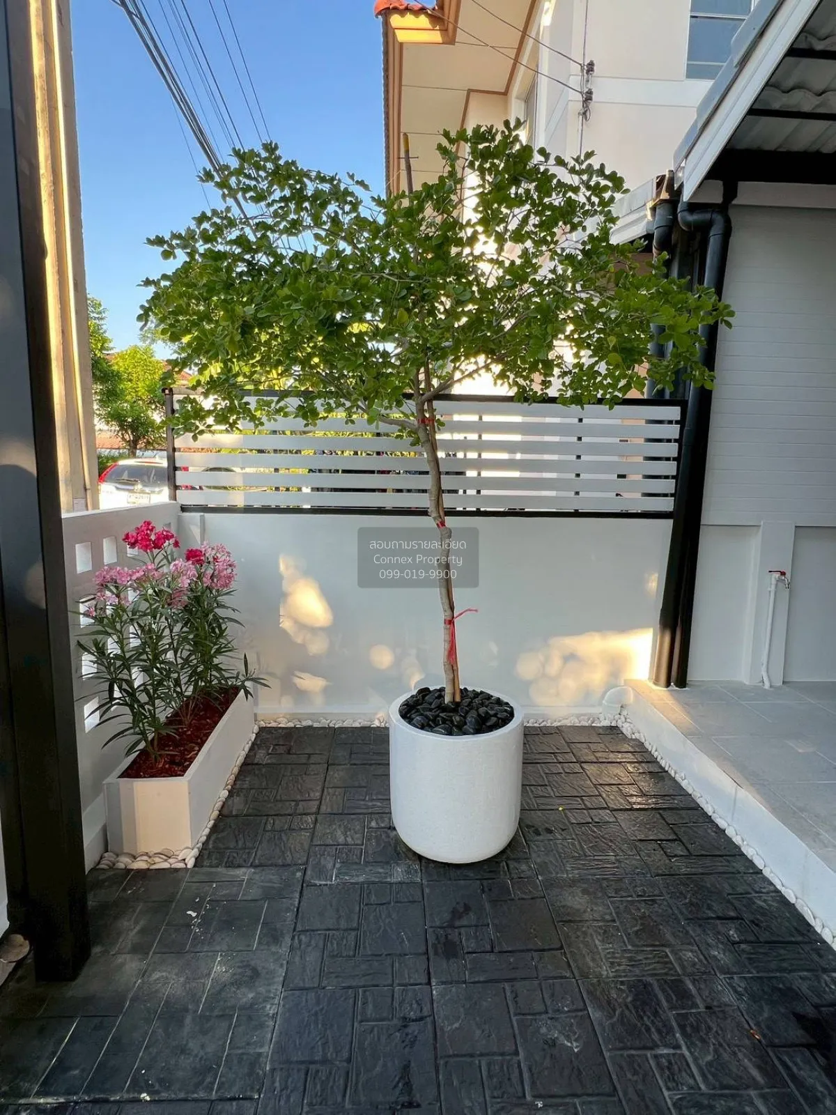 ขายบ้าน  บ้านพร้อมพัฒน์ 1 รามอินทรา รีโนเวทใหม่ สามวาตะวันตก เขต 