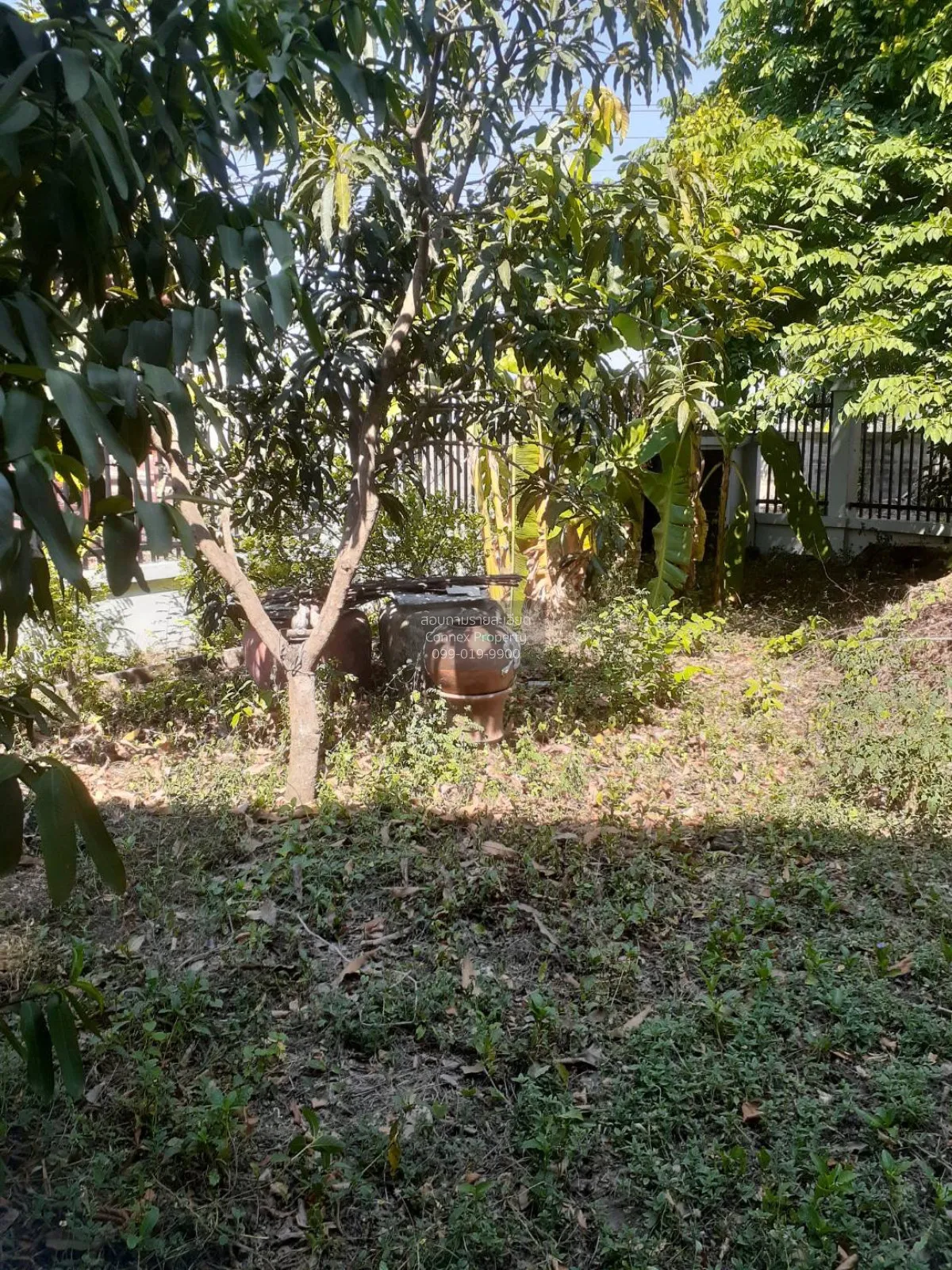 ขายบ้าน  บ้านไม้อิงธาร ศาลากลาง บางกรวย นนทบุรี CX-151969 4