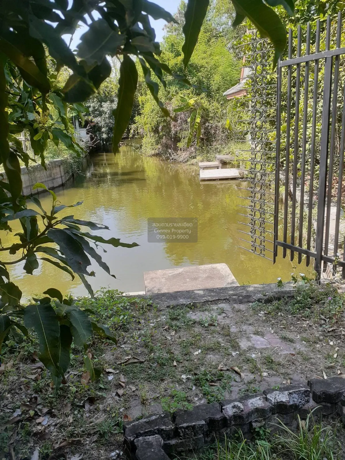 ขายบ้าน  บ้านไม้อิงธาร ศาลากลาง บางกรวย นนทบุรี CX-151969