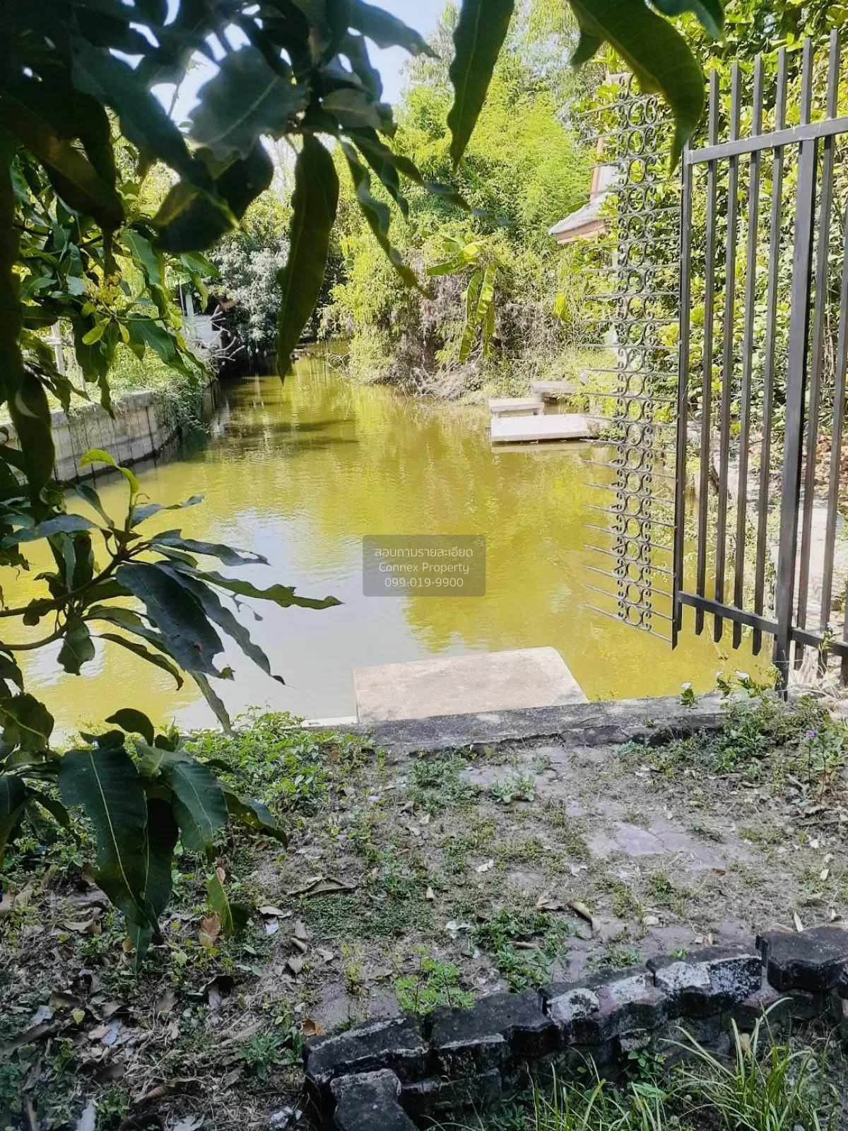 ขายบ้าน  บ้านไม้อิงธาร ศาลากลาง บางกรวย นนทบุรี CX-151969