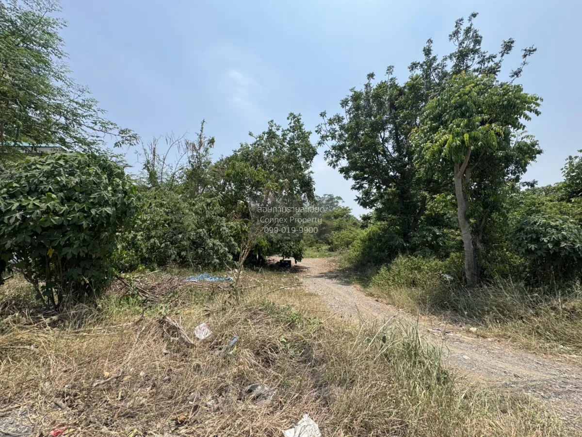 ขายที่ดินเปล่า 7 ไร่ หน้าพระลาน เฉลิมพระเกียรติ สระบุรี หน้าพระลา 4