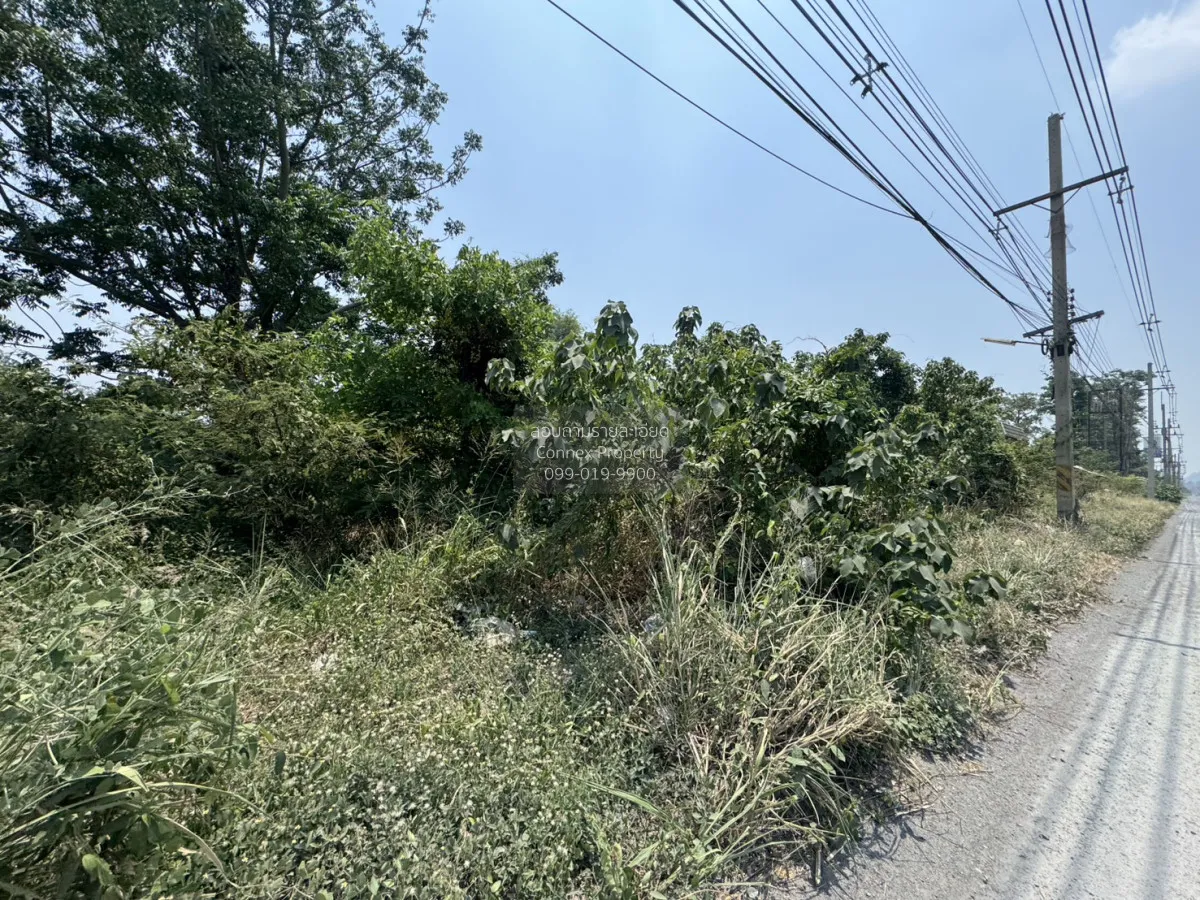 ขายที่ดินเปล่า 7 ไร่ หน้าพระลาน เฉลิมพระเกียรติ สระบุรี หน้าพระลา