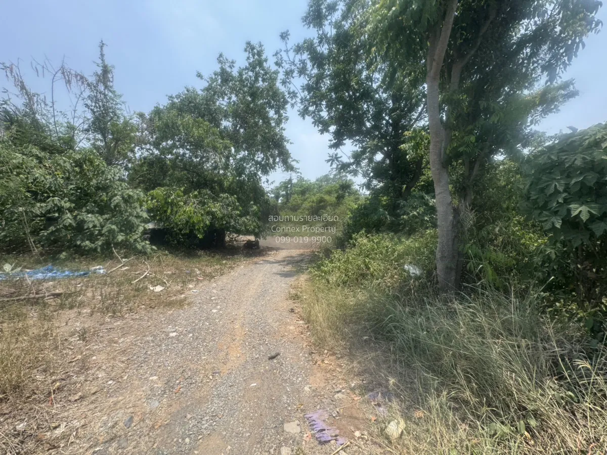 ขายที่ดินเปล่า 7 ไร่ หน้าพระลาน เฉลิมพระเกียรติ สระบุรี หน้าพระลา