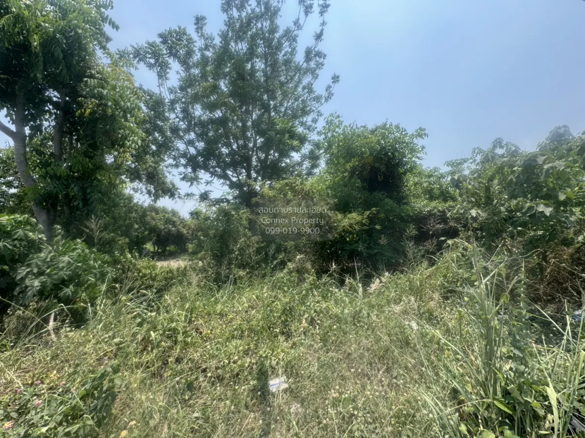 ขายที่ดินเปล่า 7 ไร่ หน้าพระลาน เฉลิมพระเกียรติ สระบุรี หน้าพระลา