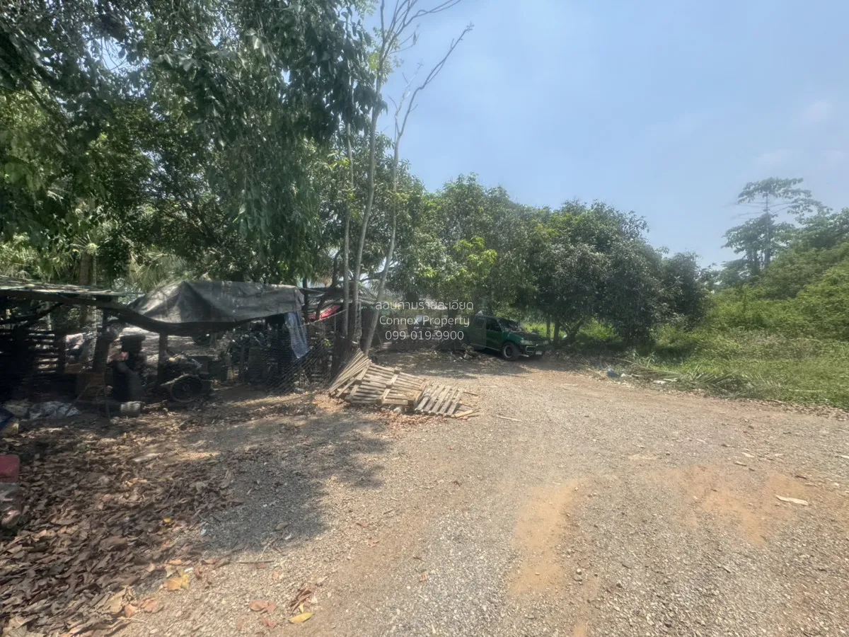 ขายที่ดินเปล่า 7 ไร่ หน้าพระลาน เฉลิมพระเกียรติ สระบุรี หน้าพระลา