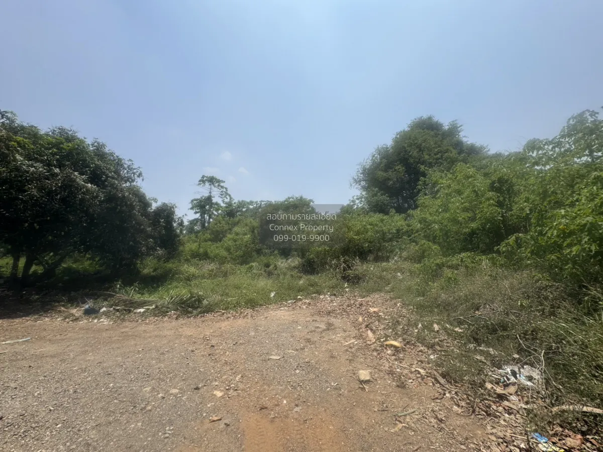 ขายที่ดินเปล่า 7 ไร่ หน้าพระลาน เฉลิมพระเกียรติ สระบุรี หน้าพระลา