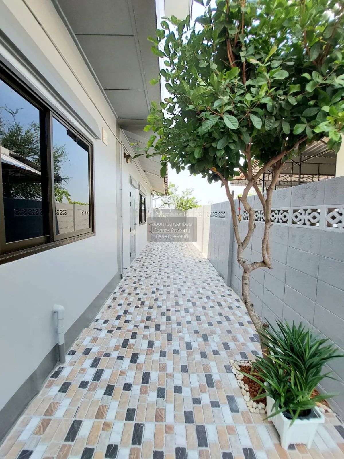 ขายบ้านมโนรมย์เพลส 7 ลำลูกกา-คลอง 8 รีโนเวทใหม่ ลำลูกกา ลำลูกกา ป