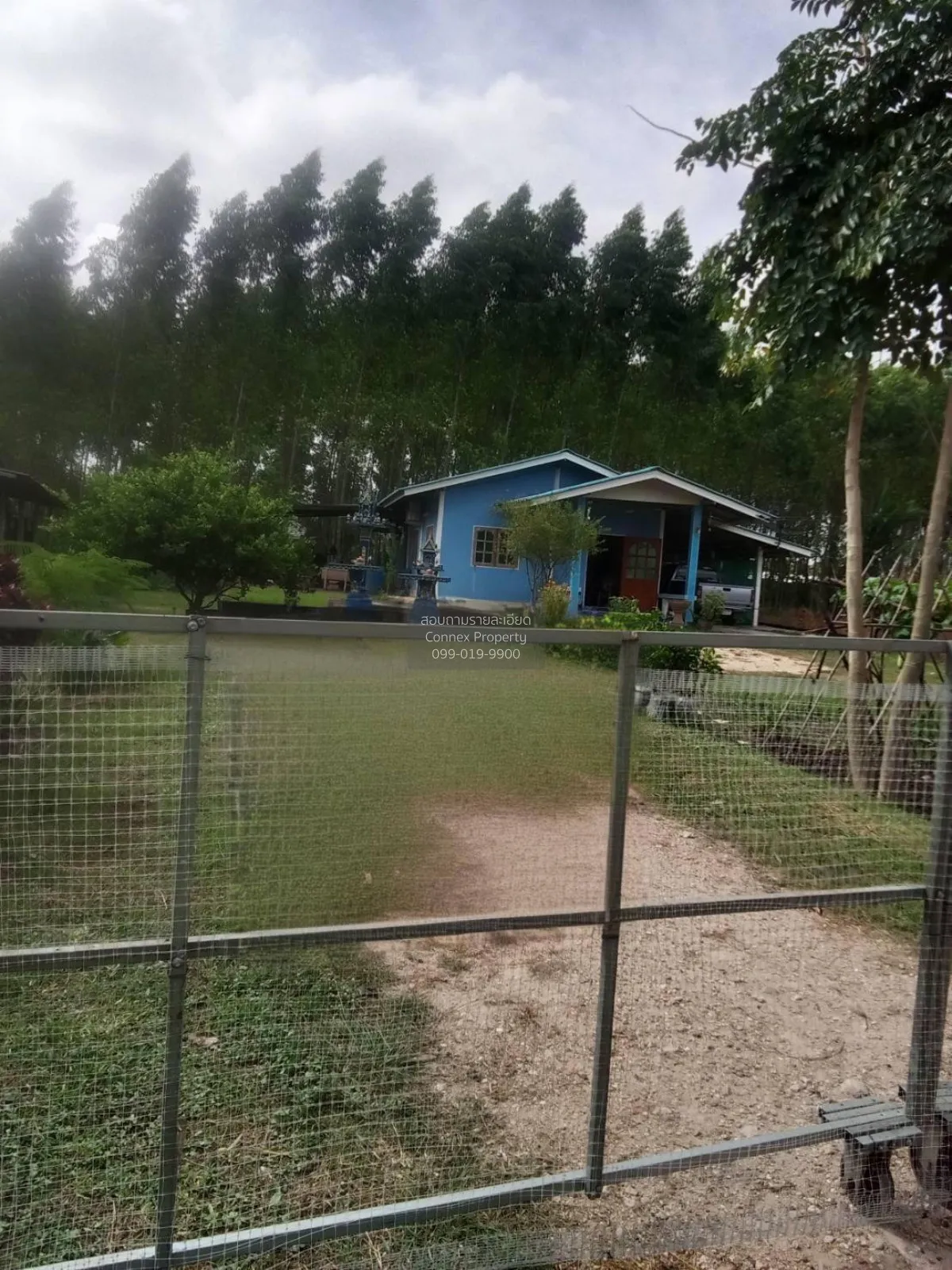 For Sale Single-story house with land, Chonburi. , Nong Hiang , P 2
