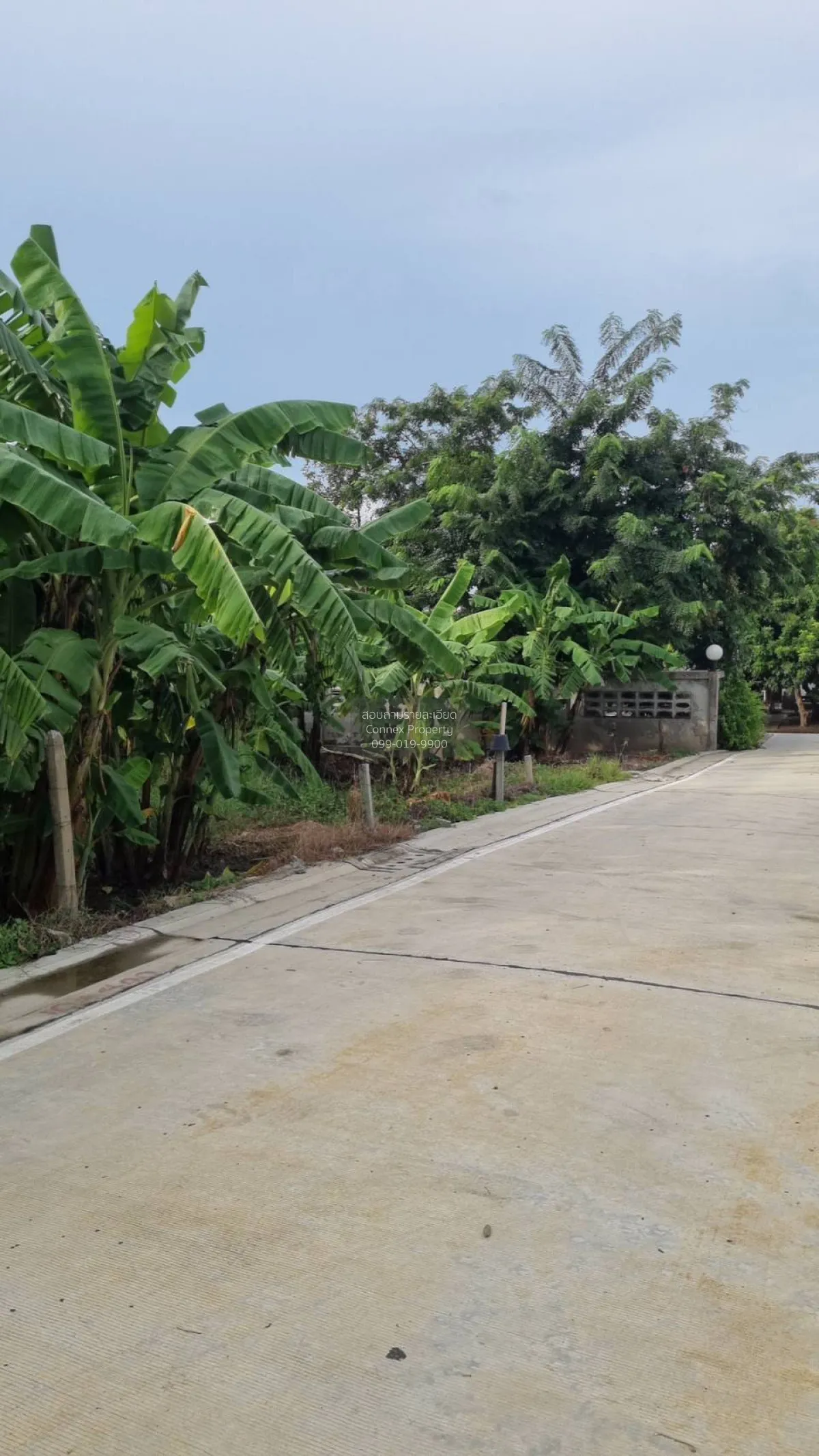 ขายที่ดิน ซอยป้าเซาะ พิมลราช บางบัวทอง นนทบุรี CX-152461 4