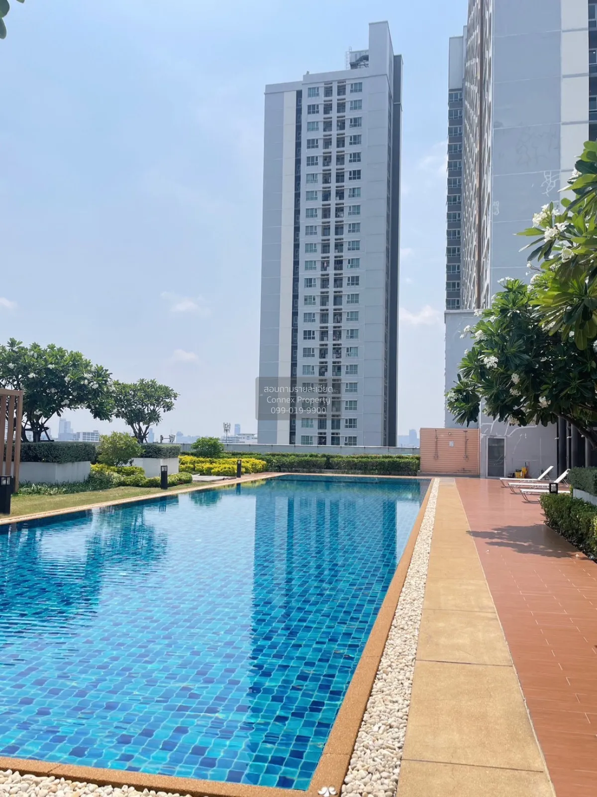 For Rent Condo , Aspire Ngamwongwan , Thung Song Hong , Lak Si , 