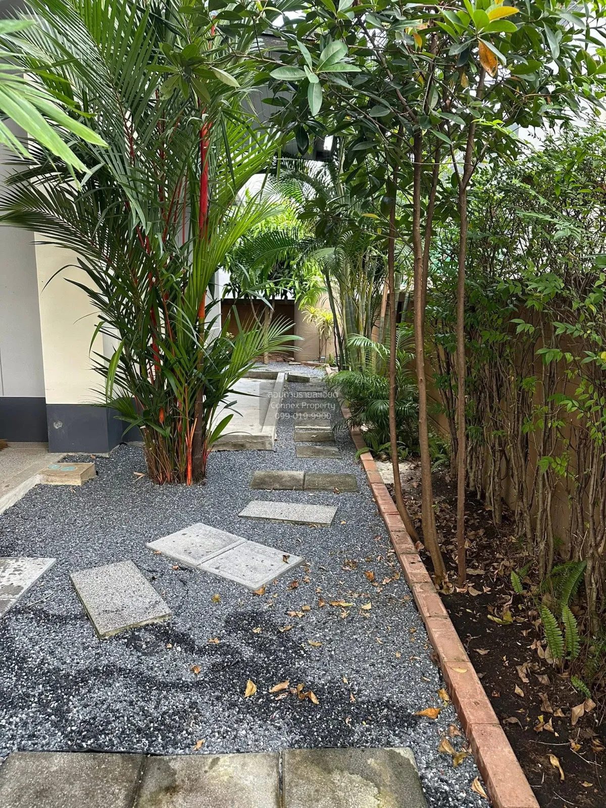 เช่าบ้าน  เศรษฐสิริ พัฒนาการ ประเวศ เขต ประเวศ กรุงเทพ CX-152805