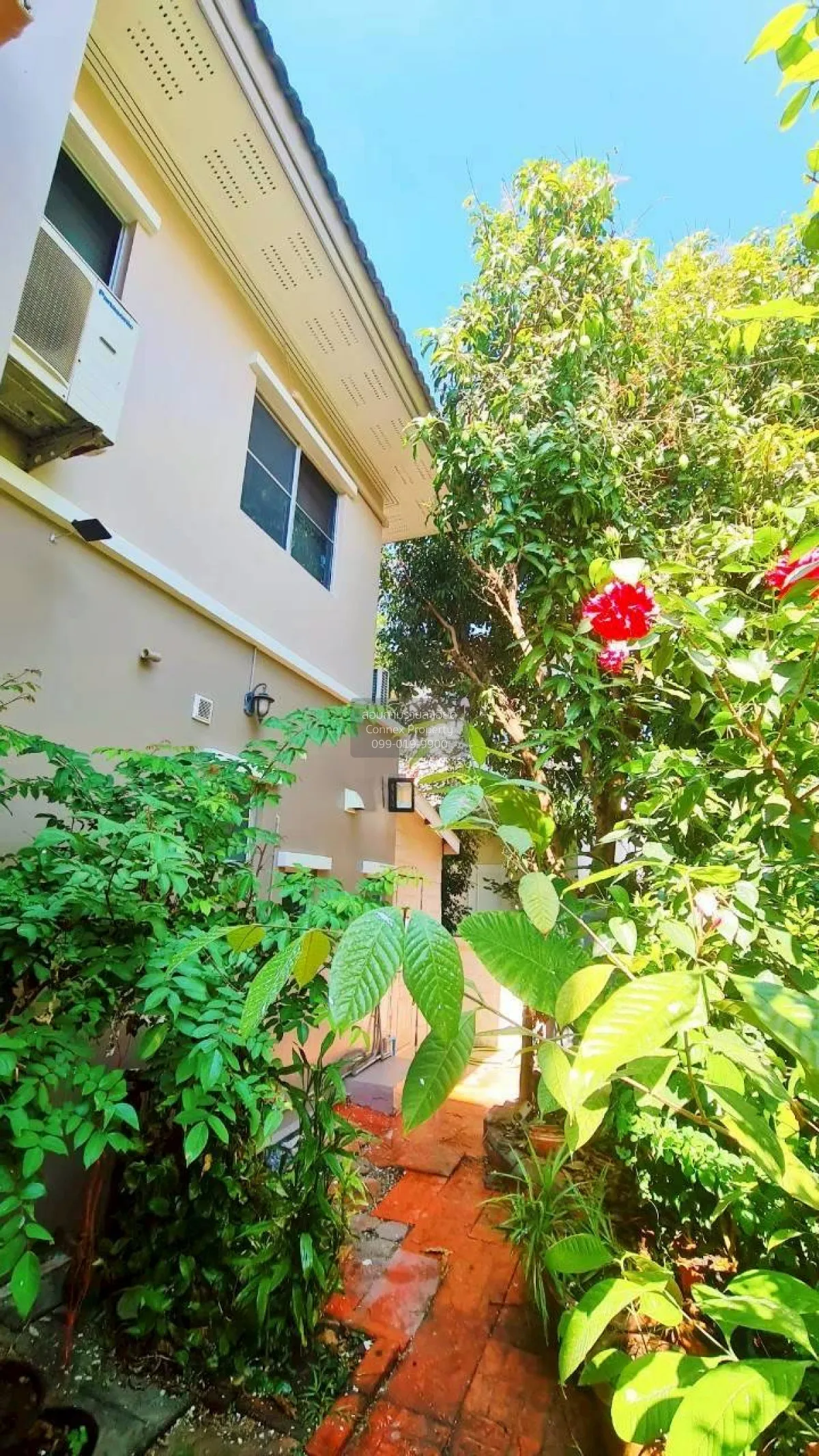 ขายบ้าน  ชลลดา สุวรรณภูมิ ห้องมุม ศีรษะจรเข้น้อย บางเสาธง สมุทรปร