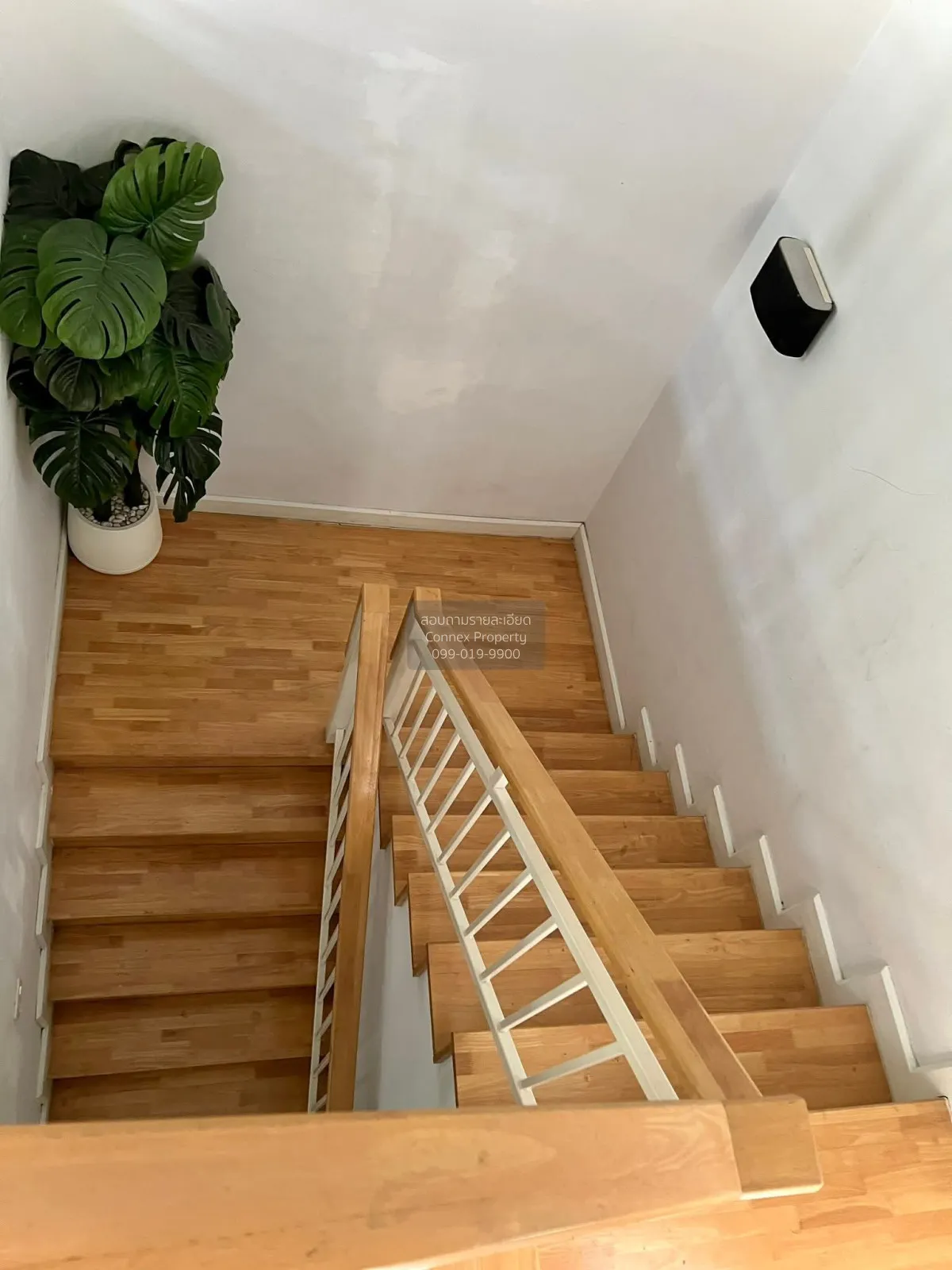 For Rent House , ZERENE RAMA 2 , Tha Kham , Bang Khun Thian , Ban