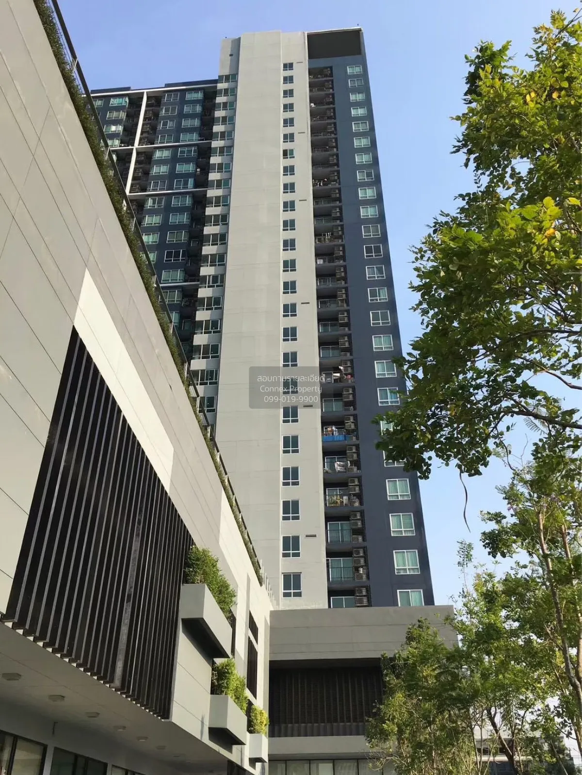 For Sale Condo , The Base Sukhumvit 77 , BTS-On Nut , Phra Khanon