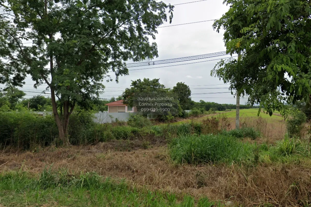For Sale 3 rai of vacant land Na Chaliang  Nong Phai Phetchabun.  1