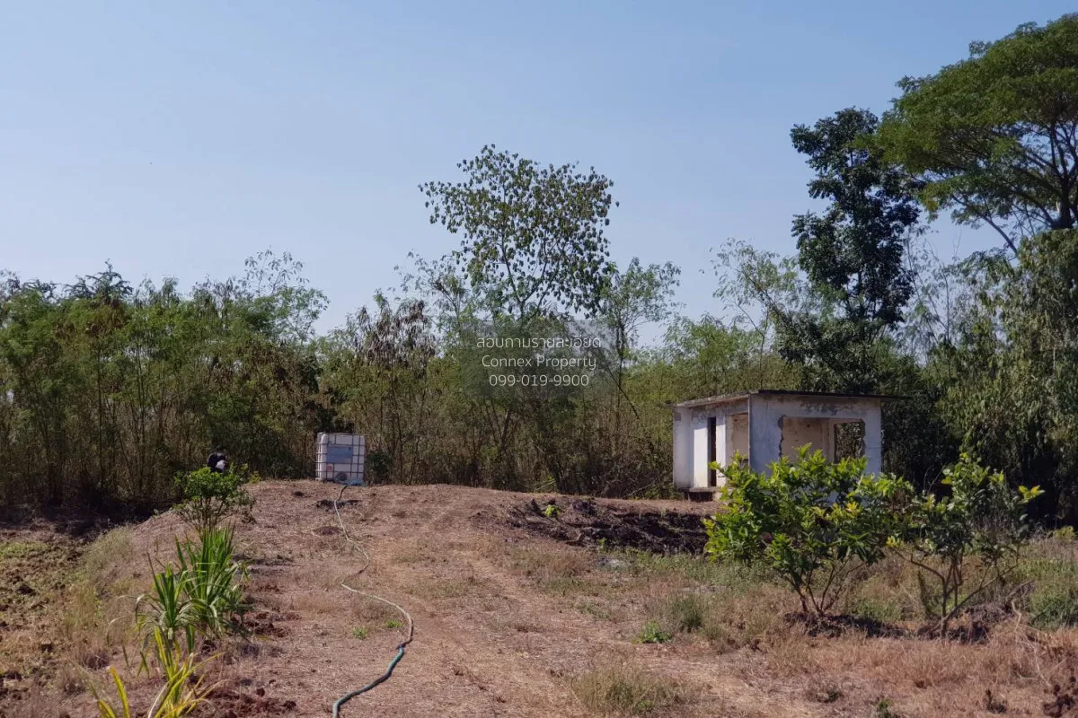 For Sale 3 rai of vacant land Na Chaliang  Nong Phai Phetchabun.  2