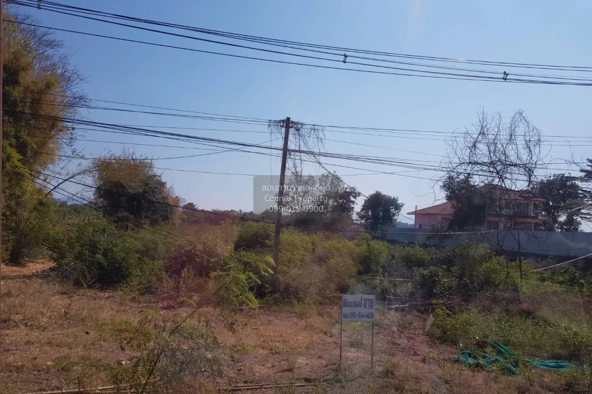For Sale 3 rai of vacant land Na Chaliang  Nong Phai Phetchabun.  3