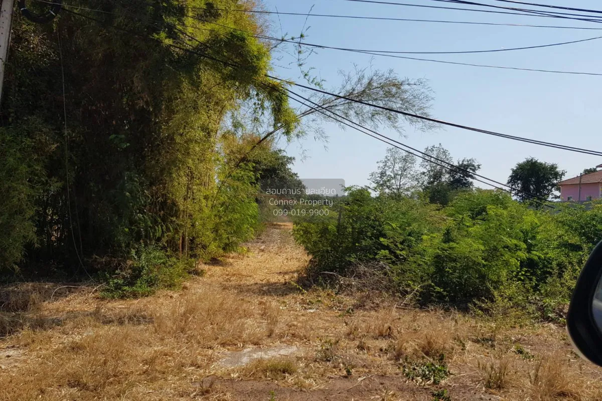 For Sale 3 rai of vacant land Na Chaliang  Nong Phai Phetchabun.  4