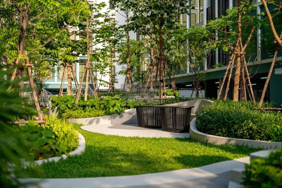 เช่าคอนโด  เคฟ ซีด เกษตร เสนานิคม เขต จตุจักร กรุงเทพ CX-153988