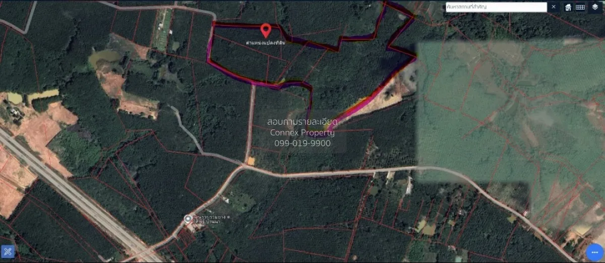 For Sale land 81 rai 3 ngan 21 square wah Wisit Bueng Kan , Wisit 1