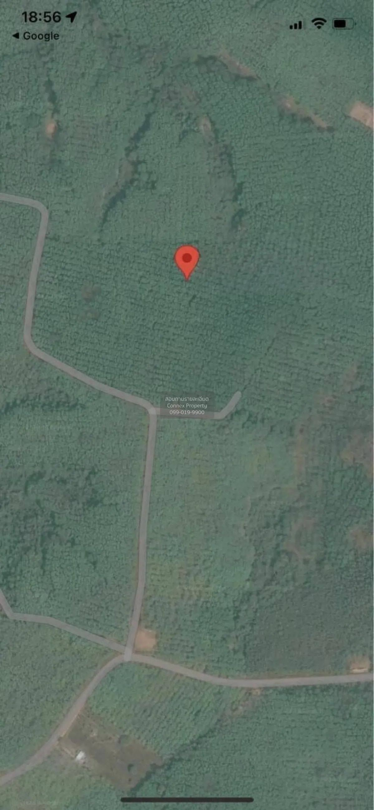For Sale land 81 rai 3 ngan 21 square wah Wisit Bueng Kan , Wisit 4