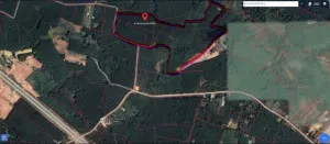 For Sale land 81 rai 3 ngan 21 square wah Wisit Bueng Kan , Wisit , Bueng Kan , Bueng Kan , CX-154330